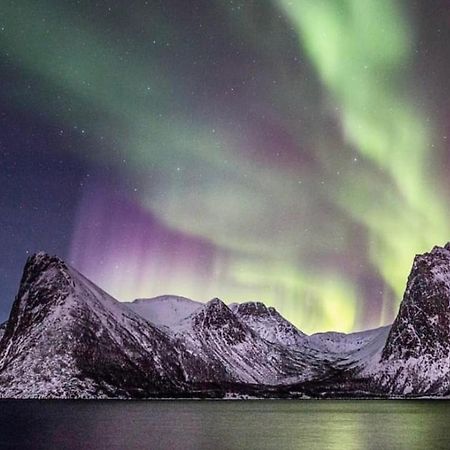 Senja Living Aparthotel Stonglandseidet Bagian luar foto