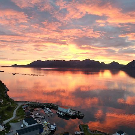 Senja Living Aparthotel Stonglandseidet Bagian luar foto