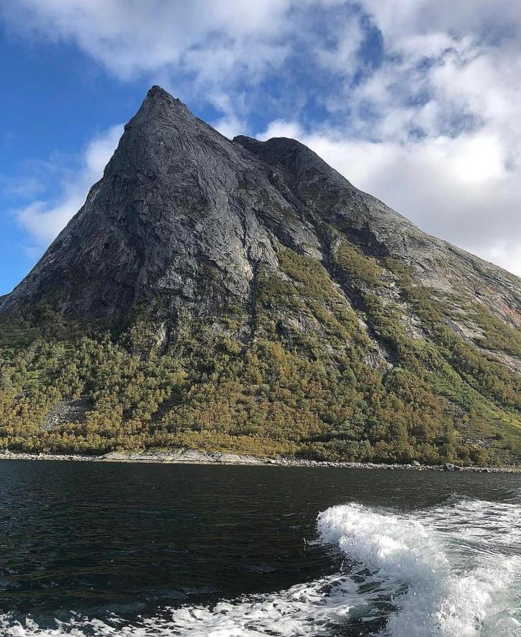 Senja Living Aparthotel Stonglandseidet Bagian luar foto