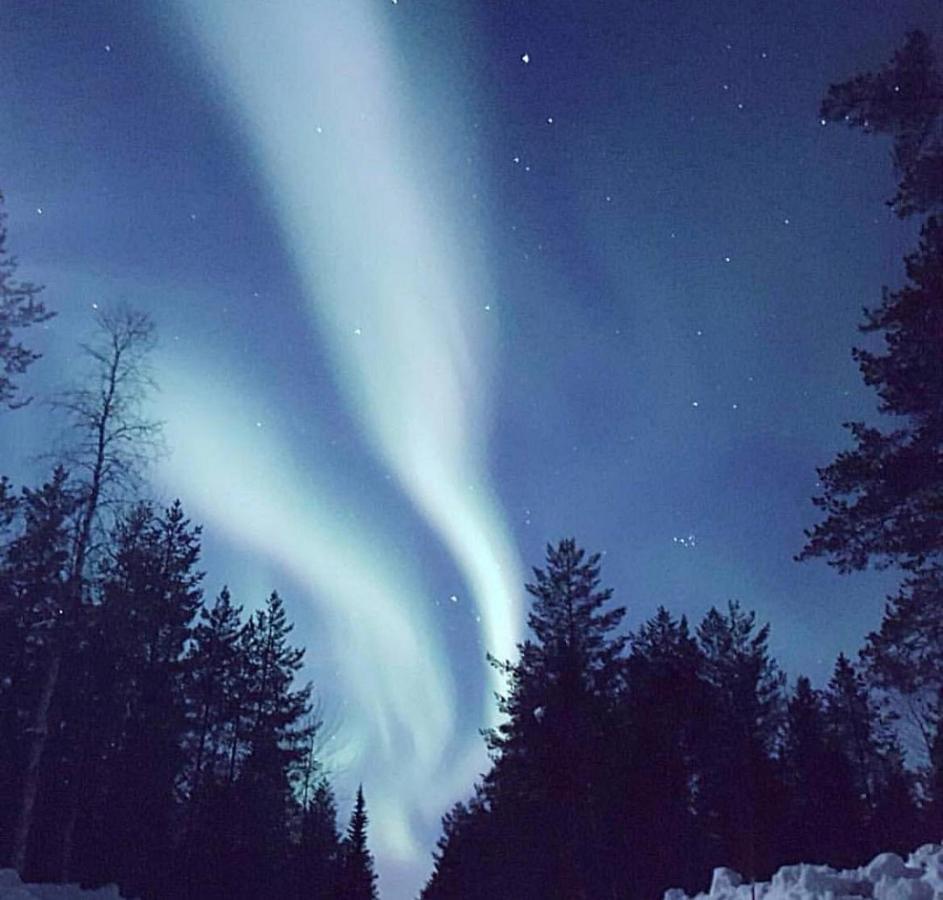 Senja Living Aparthotel Stonglandseidet Bagian luar foto