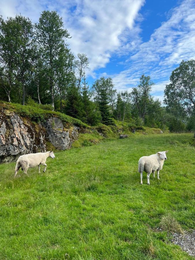 Senja Living Aparthotel Stonglandseidet Bagian luar foto