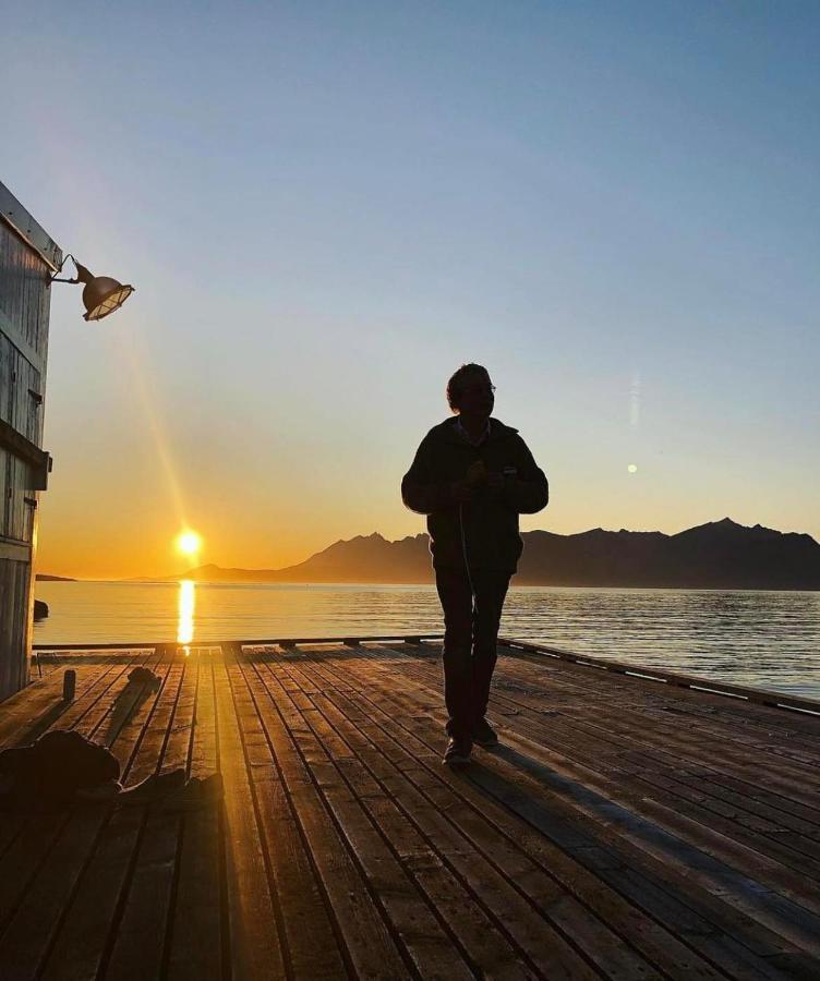 Senja Living Aparthotel Stonglandseidet Bagian luar foto