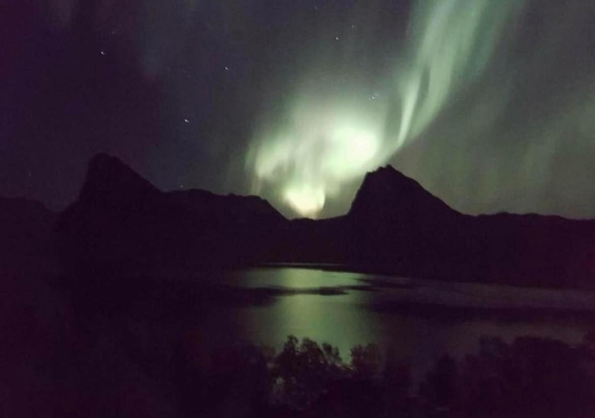 Senja Living Aparthotel Stonglandseidet Bagian luar foto