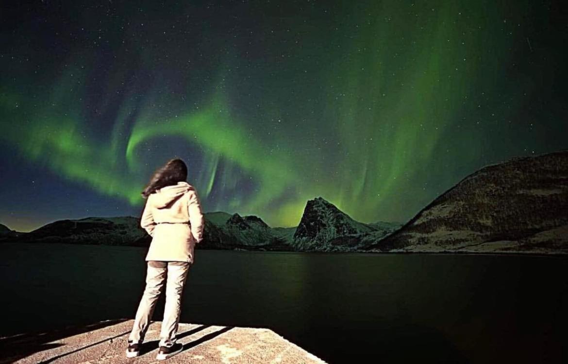 Senja Living Aparthotel Stonglandseidet Bagian luar foto