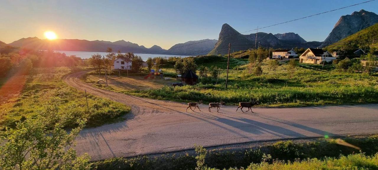 Senja Living Aparthotel Stonglandseidet Bagian luar foto